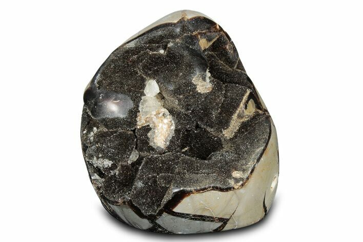 Free-Standing, Polished Septarian Geode - Black Crystals #302876